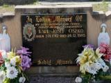 image of grave number 744437